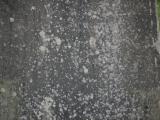 image of grave number 807449